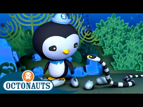 S02E05-Octonauts and the Sea Snakes