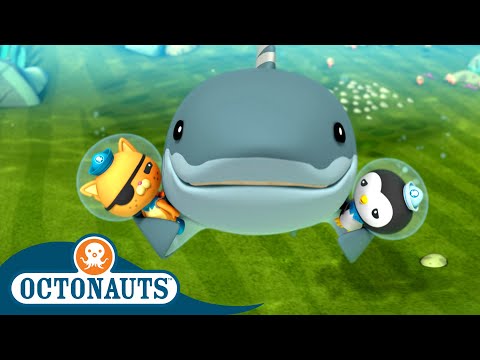 S02E04-Octonauts and the Great White Shark