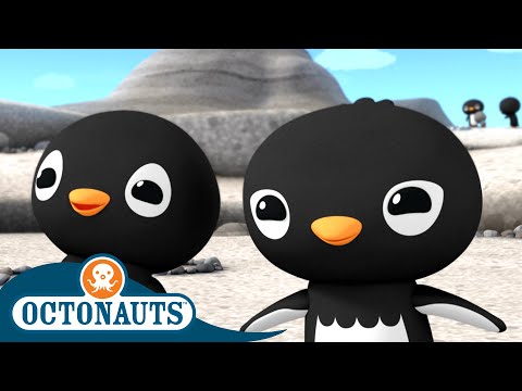 S02E02-Octonauts and the Adelie Penguins