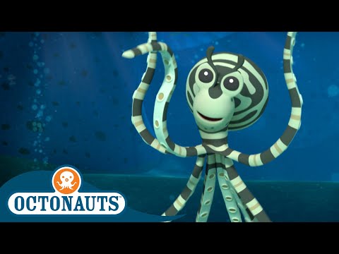 S02E16-Octonauts and the Mimic Octopus