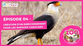 S01E04-Création d'un enrichissement pour les Rapaces Caracara