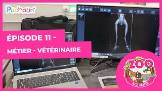 S01E11-Métier Vétérinaire