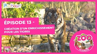 S01E13-Enrichissement pour les tigres