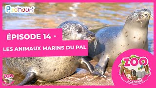 S01E14-Les Animaux Marins du PAL