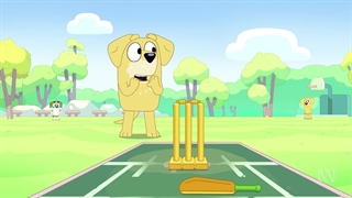 S03E47-Cricket