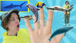 Family Finger Song - Sea Creatures with Matt