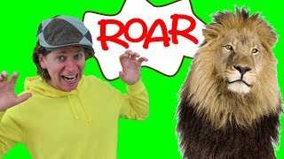 The Lion Song with Matt - Wild Animal Songs