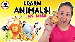 Learn Animals with Ms. Moni