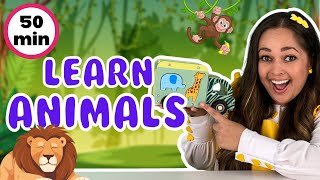 Learn Animals For Kids - Animal Songs