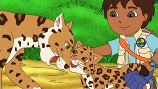 S01E19-Baby Jaguar To The Rescue