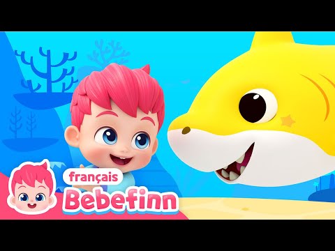 Bébé Requin