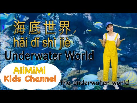 Underwater World