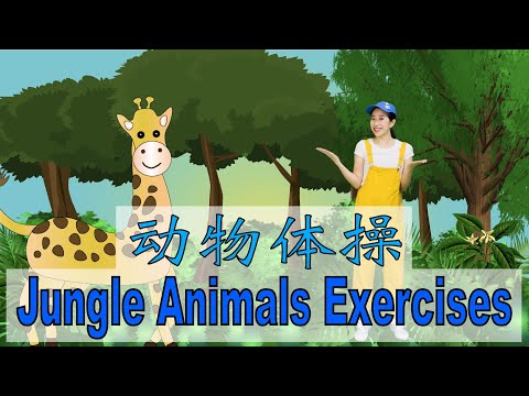 Jungle Animals Workout and Exercise