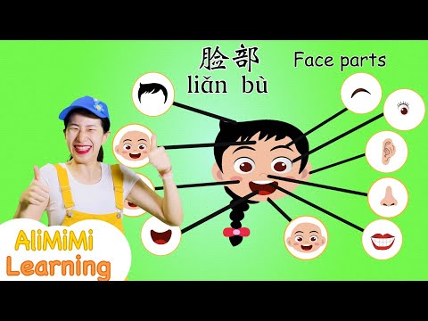 Learn about Face - Body Parts