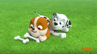 S03E13-Pups Save Old Trusty - Pups Save a Pony