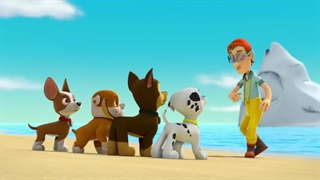 S06E01-Pups Save the Jungle Penguins - Pups Save a Freighter