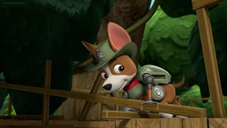 S07E18-Pups Save Little Hairy - Pups Save a Kooky Climber