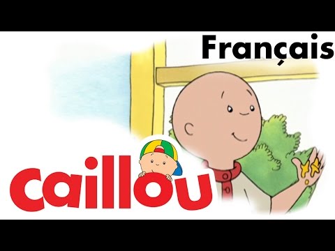 S01E32-Les couleurs de Caillou