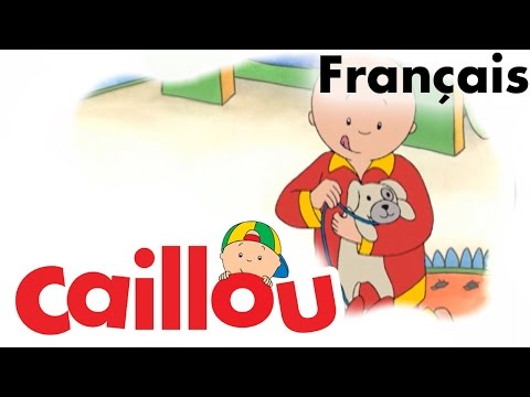 S01E50-Caillou promène un chien