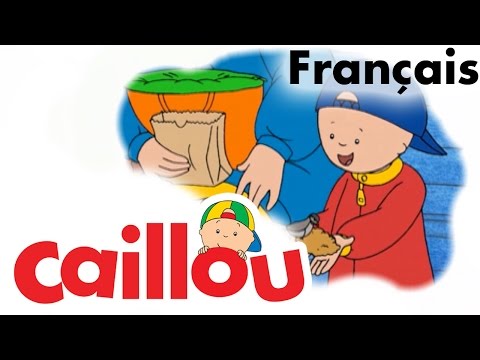 S01E58-Caillou observe les oiseaux