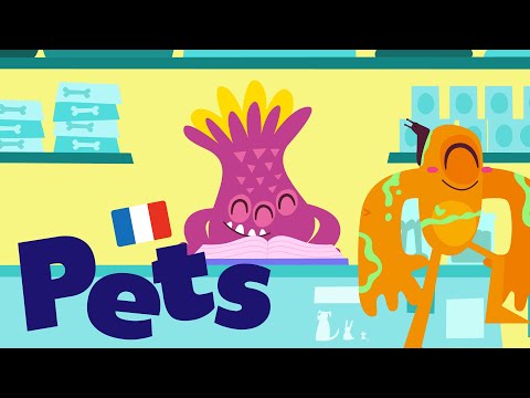 3- Pets in French