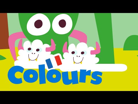 11- Colours in French