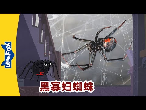 E17-Spider (Black Widow Spider)