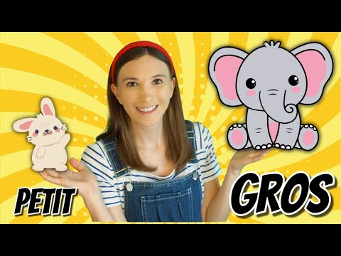 Animaux - Apprendre Gros et Petit