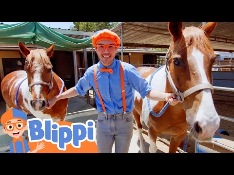 Blippi Learns About Animals At Danny's Farm