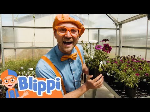 Blippi Visits a Greenhouse