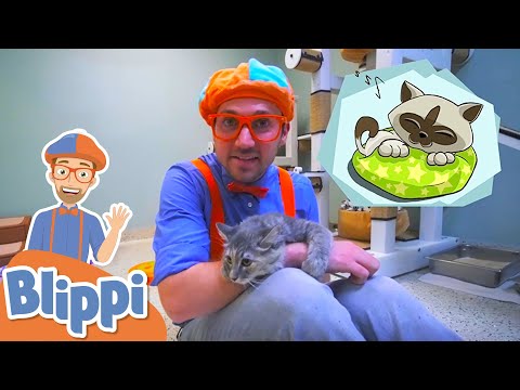 Learning Animals With Blippi - More Blippi Videos For Kids