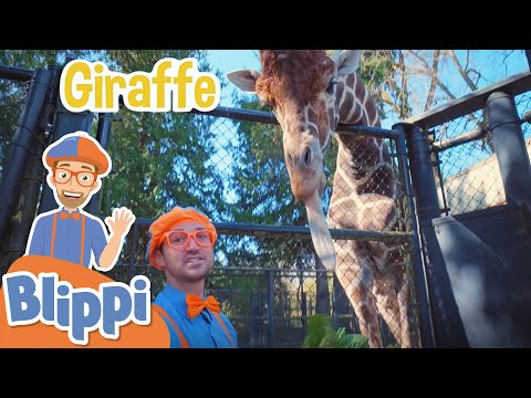 Learning Zoo Animals For Kids With Blippi & More Blippi Episodes