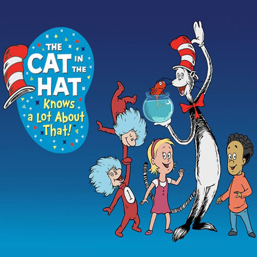 Cat in the hat