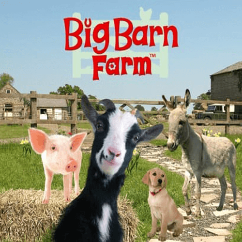 Big Barn Farm