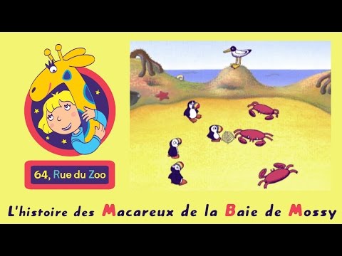 S02E10-L'histoire des macareux de la baie de Mossy