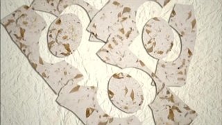 S01E05-The Baby Turtle