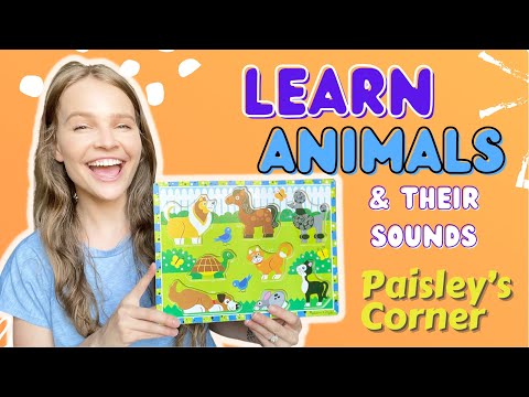 Animals & Their Sounds