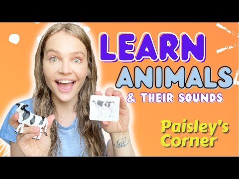 Learn Animals