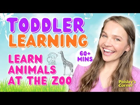 Learn Zoo Animals