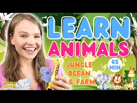 Learn Animals for Toddlers - Jungle Animals for Kids