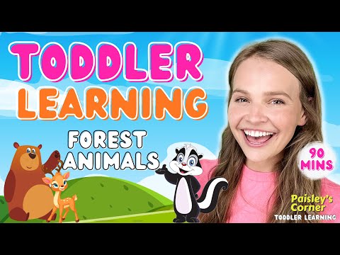 Learn Animals2