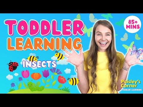 Learn Insects for Kids