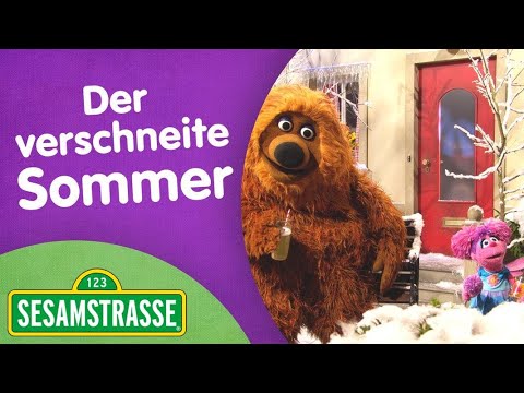 Der verschneite Sommer