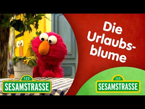 Die Urlaubsblume