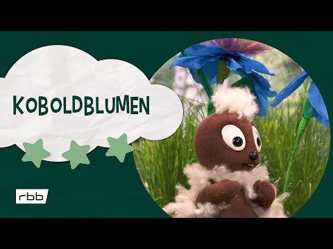 S01E11-Koboldblumen