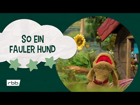 S02E06-So ein fauler Hund