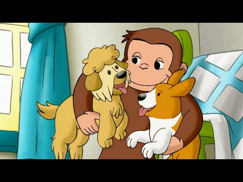 S01E09-Die Hundeschau