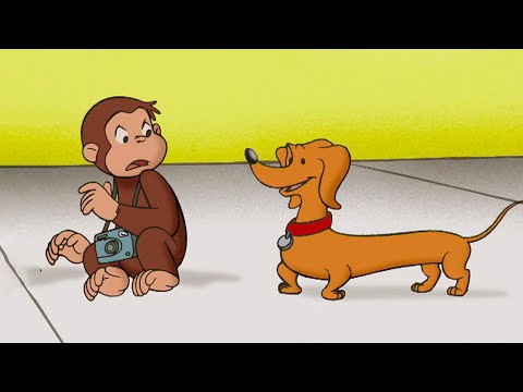 S02E06-Der doppelte Hektor