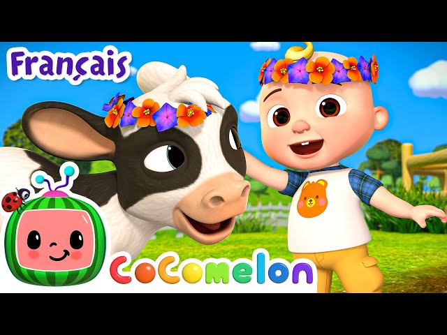 La ferme des bébés animaux