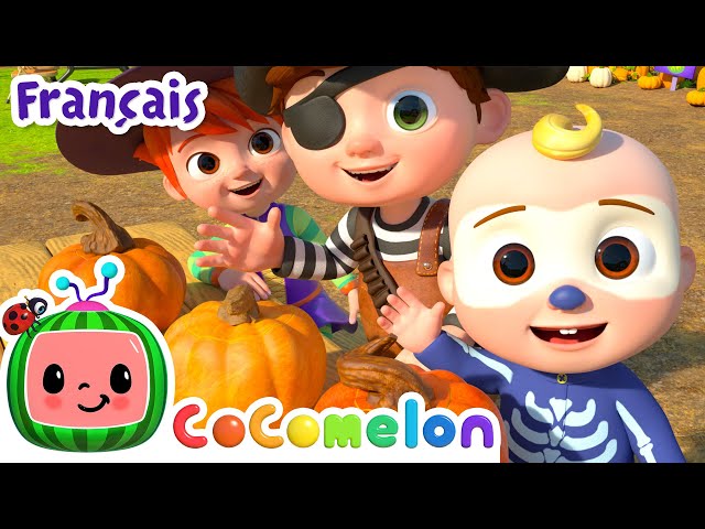 Vive les citrouilles
